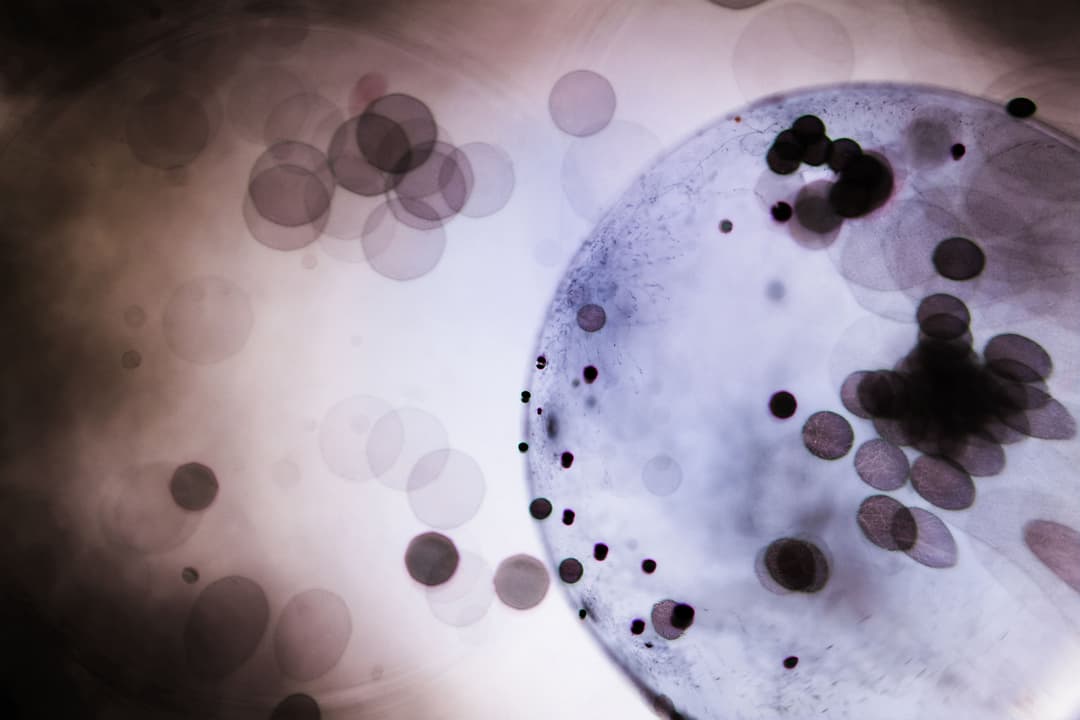 Hormone Pellet Therapy: How It Works, Benefits, and Who It's For